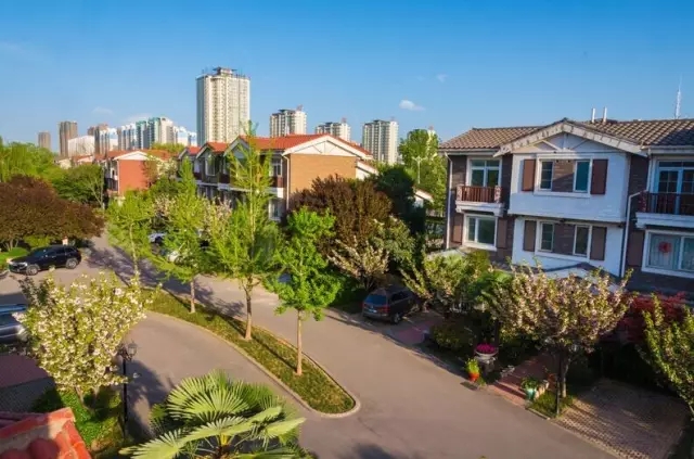 纸杯蛋糕 | 繁花五月，，，，唯爱绵绵